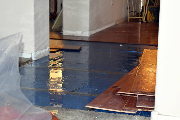 Professional Water Damage Restoration technician working in Neapolis, OH